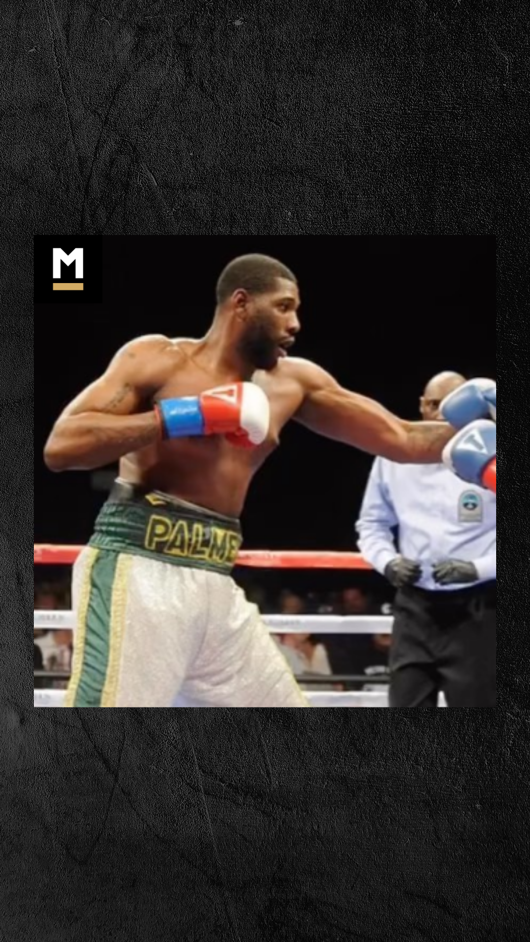 Donnie Palmer : Basketball to boxin...