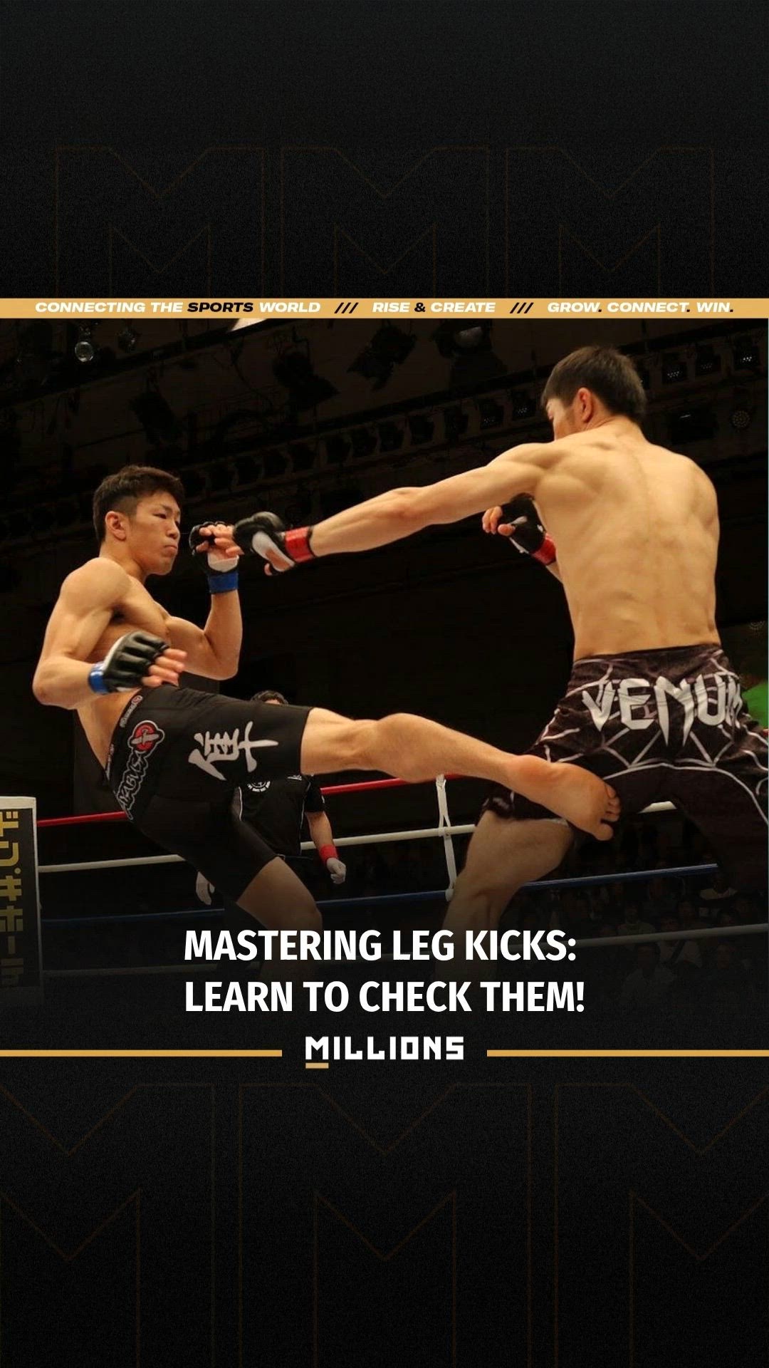 Gianni Aganis: Mastering Leg Kicks:...