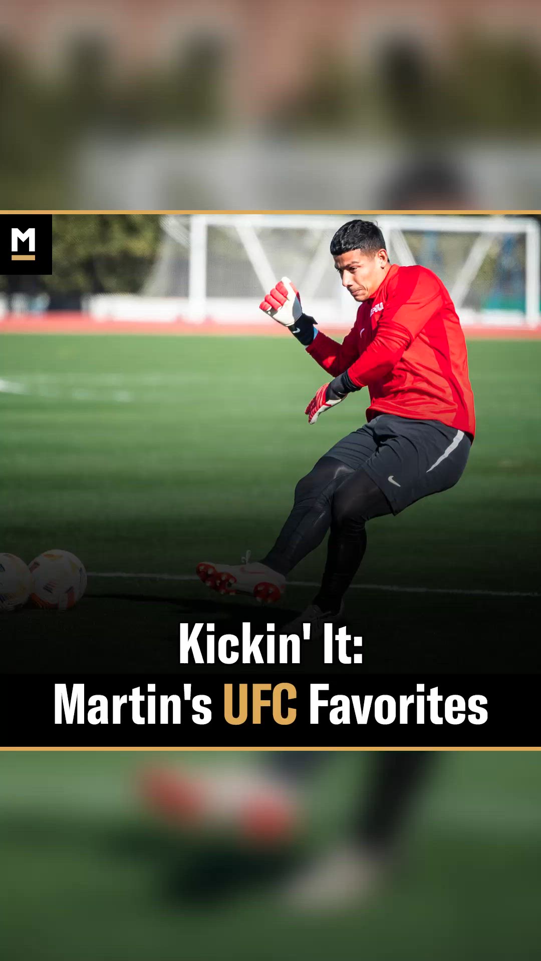Martin Dominguez: Dominguez's favor...