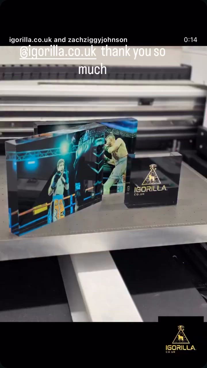 3D fight photos